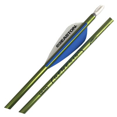 Set of 12 Easton® Full Length arrows