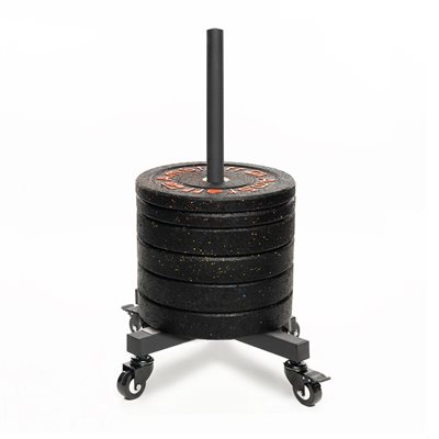 Vertical support for bumper plates