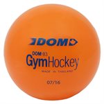 Gym hockey ball