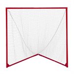 Pair of lacrosse nets