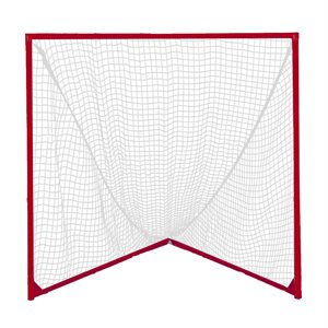 Pair of lacrosse nets