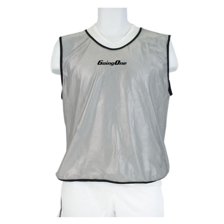 Going One® Silver Mesh Pinnie